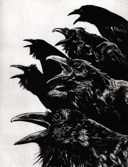 ex0skeletal:  Ravens by Larry Vienneau Buy prints here! 