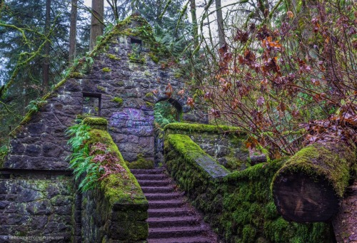 Porn bobcronkphotography:Witch’s Castle - Forest photos