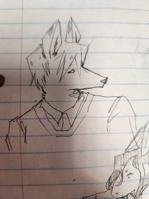 I DREW SO MANY FUCKING FURRIES TODAY