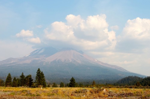 Mount Shasta in Clouds and Smoke, California, 2014.I drove into California to get a look at Shasta, 