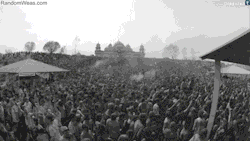 https://69.media.tumblr.com/7a43e680b6fcfc77488b47d3c3066f0b/tumblr_nso2qaidKV1thtpcqo1_500.gif