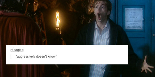 roughhewnends:  doctor who + text posts (1/2) 