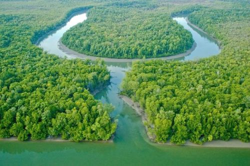 oceaniatropics:Ducie River, Cape York Peninsula, Queensland, Australia