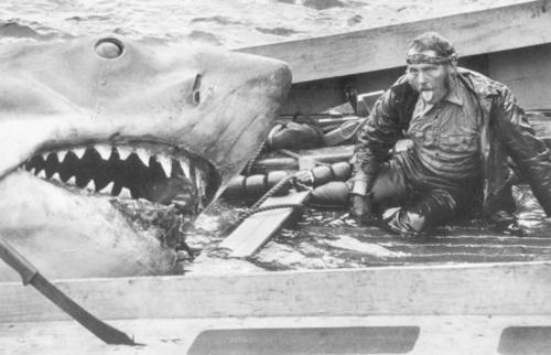 Just When You Thought It Was Safe To Go Back In The Water.