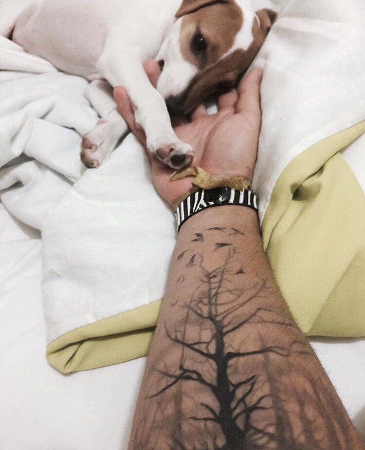 snakeㅤㅤㅤㅤ