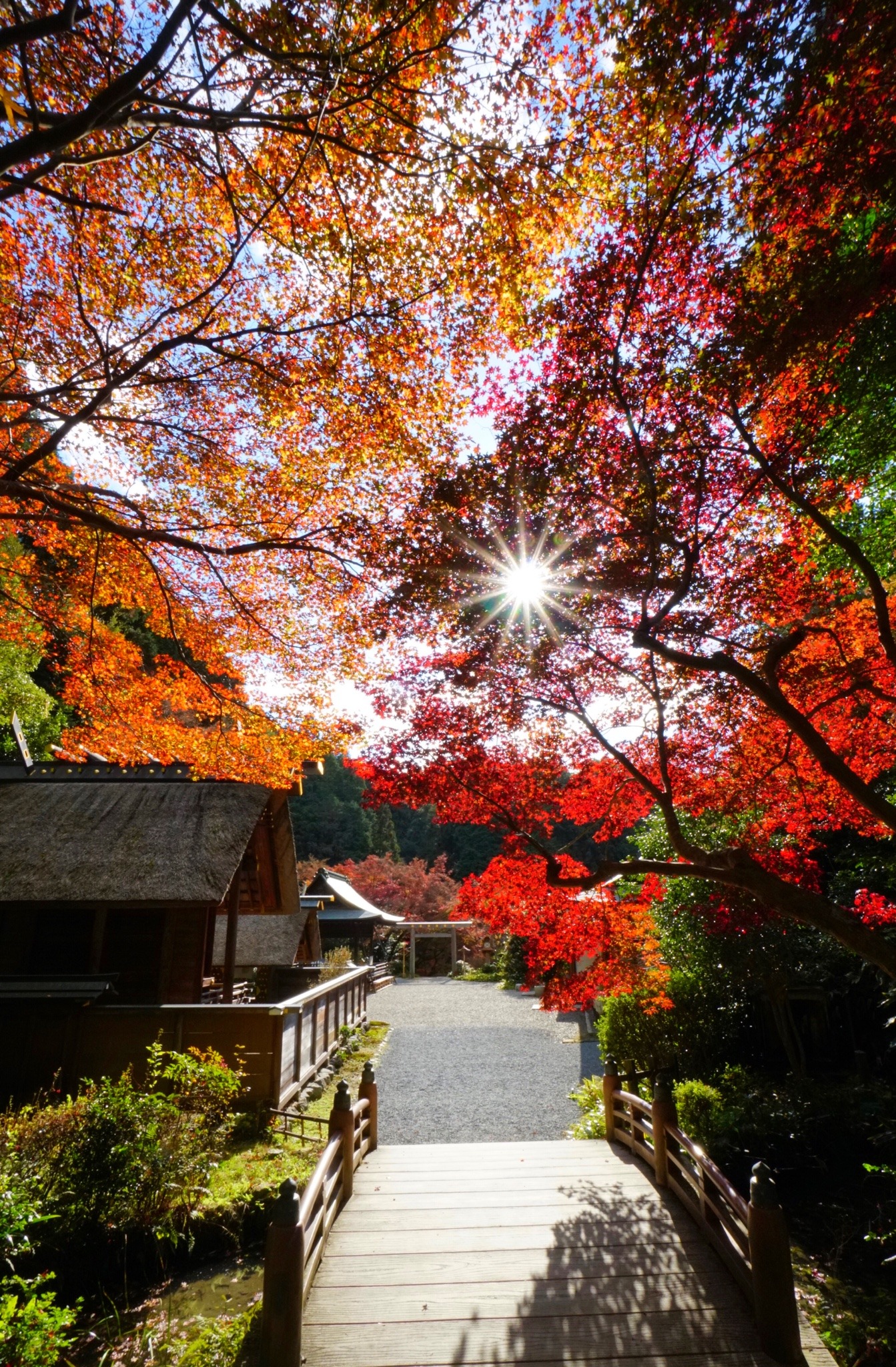 chitaka45:京都　日向大神宮　🍁紅葉2020 🍁kyoto himukaidaijingu 🍁autumn rivers🍁