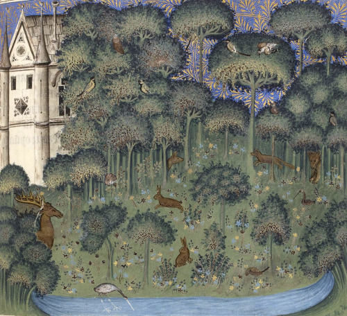 discardingimages:enchanted islandGuillaume de Machaut, Dit du Lion, Paris 1350-1355BnF, Français 158