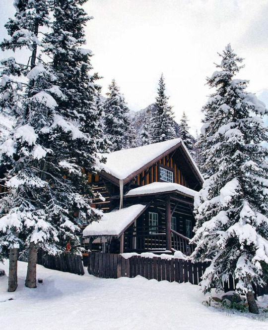 zariest: ig: wintersofwonder ❄ 