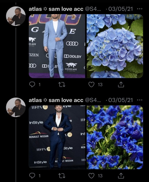Sebastian Stan As Flowers: An Absolutely Adorable Thread By @S4MWILSON On Twitter