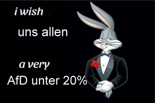 Oder Sollte Ich Lieber 25% Sagen?!🫠
