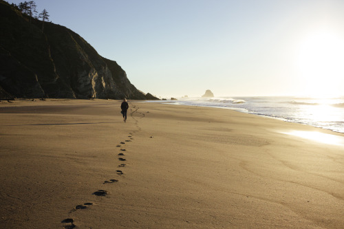 On the Lost Coast - Humboldt County, California