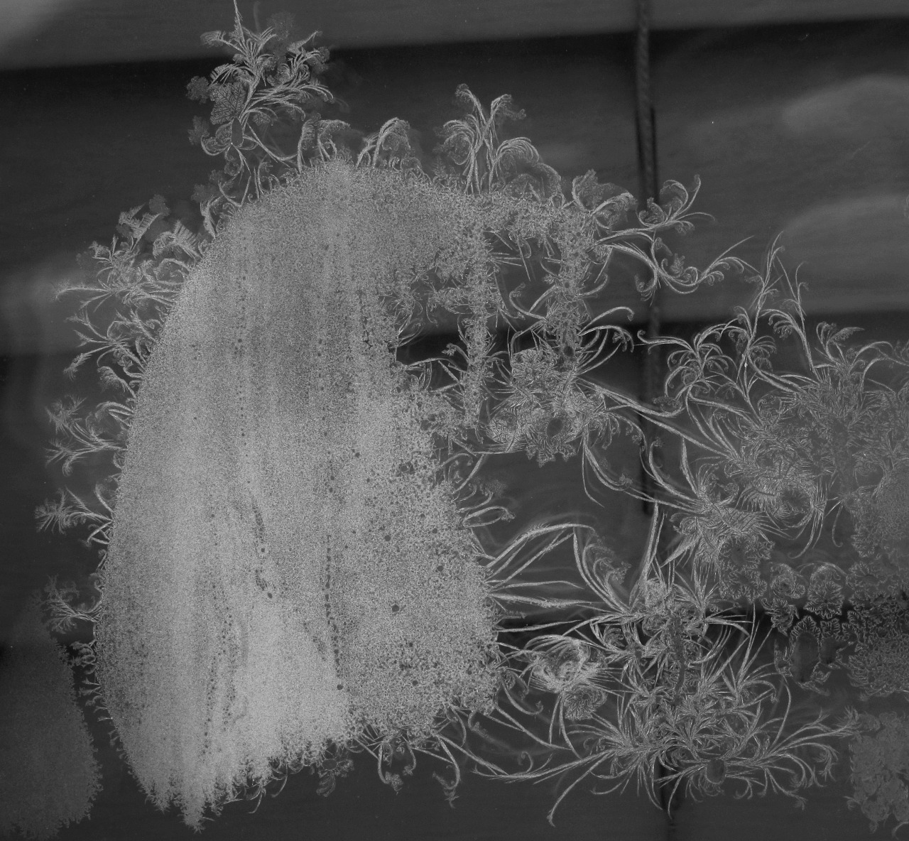 laramsey:  Frost formations on my window. Frost can be beautiful. 