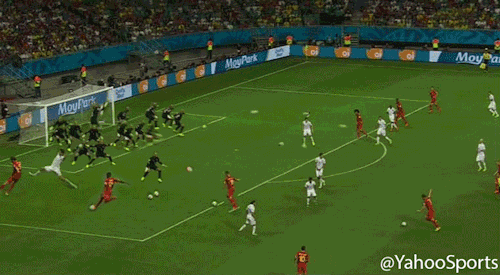 jaidefinichon:  Tim Howard
