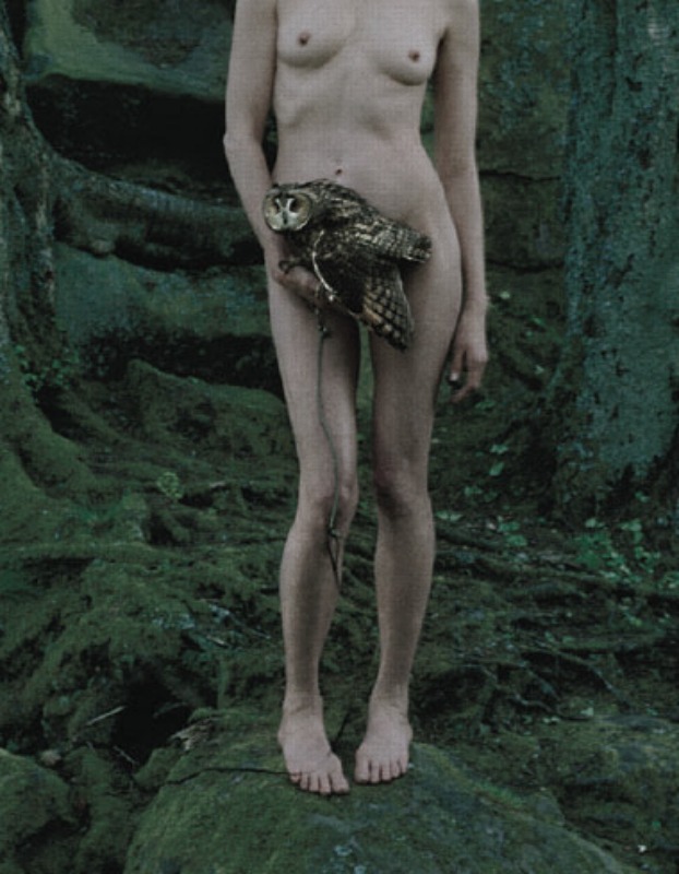 theblackcatzon:  ampersand-et: kristen mcmenamy in “dame of thrones” by tim walker