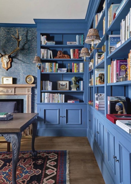 of-foolish-and-wise: fuck it, colorful home libraries