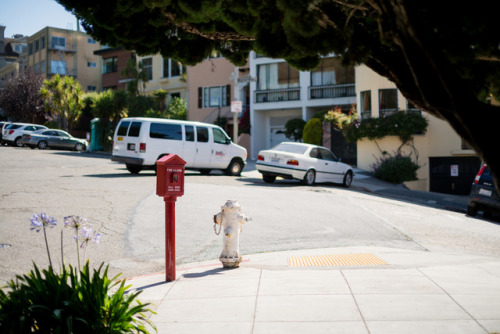 Haight-Ashbury, San Francisco ◕ alec mcclure  ◔ photoblog