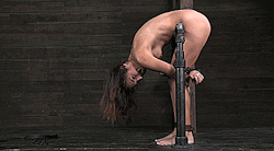 traineroffuckmeat:  brutalmaster:  boundtightly:  - boundtightly ⇋ bdsm-bdsm  Gonna be a loooooong weekend.  Sometimes a mounting rig is needed to train your fuckmeat.   