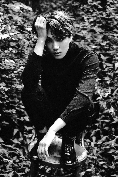 duckyhun:  EXO Season Greeting 2016 (China version) : KAI