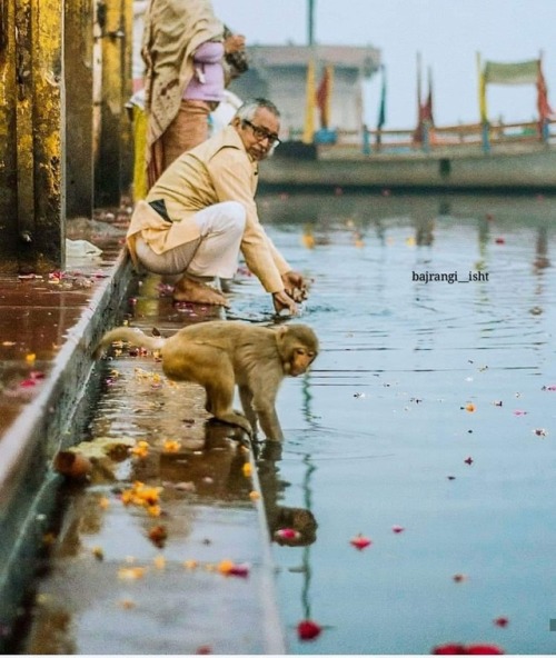 Ghat at Mathura, photo by Bajrang_isht