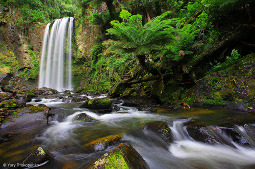 Waterfall :: Hopetoun Falls by -yury- on Flickr.