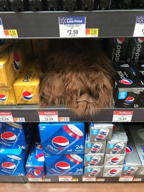 moonlandingwasfaked:moonlandingwasfaked:what the hell is this in the soda section of walmart