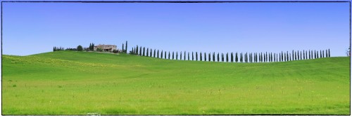 MONTALCINO