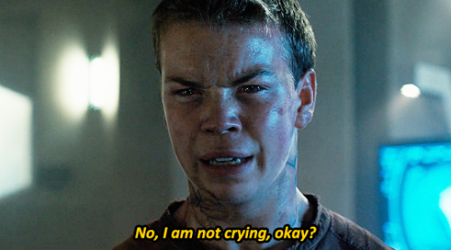 The Maze Runner meets Parks and Recreation ( 3 / ??? )