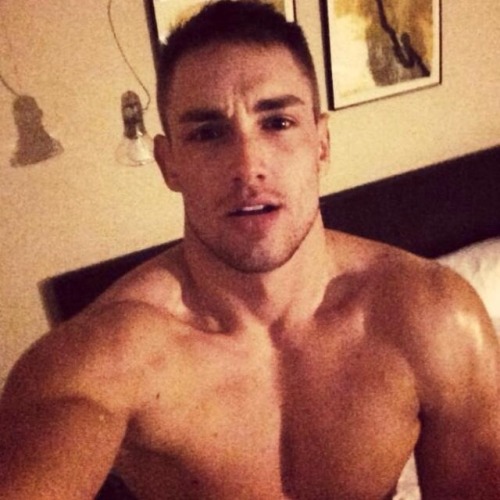gay porn