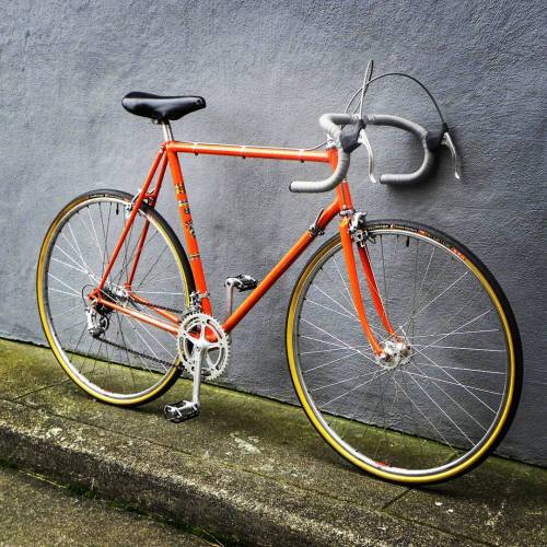 therubbishbin: at American Cyclery