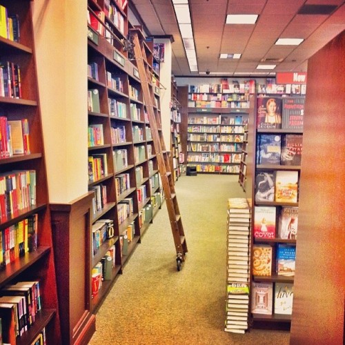 literafoto:Heaven has a ladder