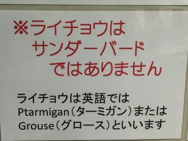 keitanoaji:  WING☆GHOSTさんはTwitterを使っています: “※ライチョウはサンダーバードではありません