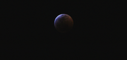 taultvec:Capturing the blood moon was...
