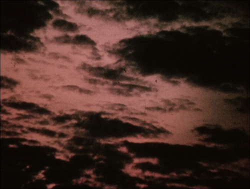 365filmsbyauroranocte:   Fuses (Carolee Schneemann, 1967)  