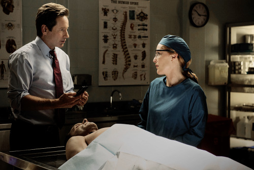 scully1964: The X-Files↳ 1x01 Pilot | 10x03 Mulder &amp; Scully Meet the Were-Monster.