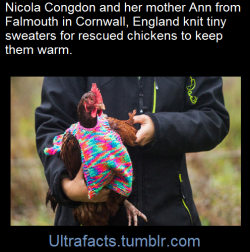 ultrafacts:  Nicola Congdon and her mother