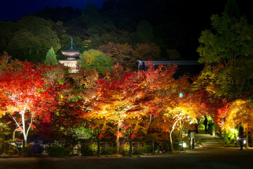 紅葉- 永観堂禅林寺 ／ Eikando Zenrin-ji Temple by Active-U on Flickr.