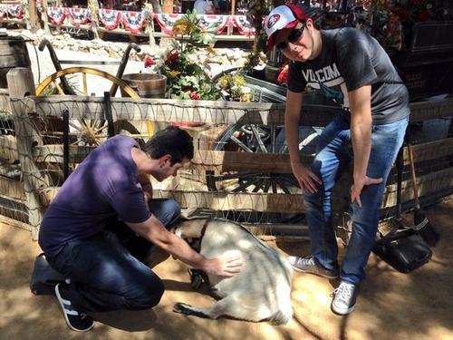criaturitadeust:  aliceunicornialol:  criaturitadeust:   He muerto de amor, la foto