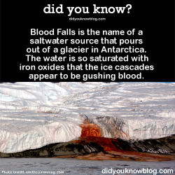 did-you-kno:  Blood Falls is the name of