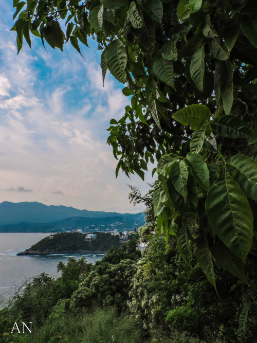 coolnicool:  Manzanillo desde la selva. Fotografía por Ana Nicole Montes de Oca Colliander, coolnico