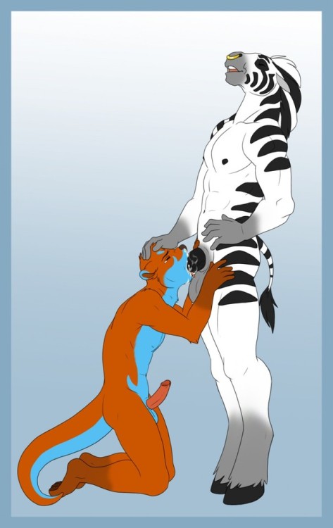 mrapplemat:  That zebra can use me all day 😍