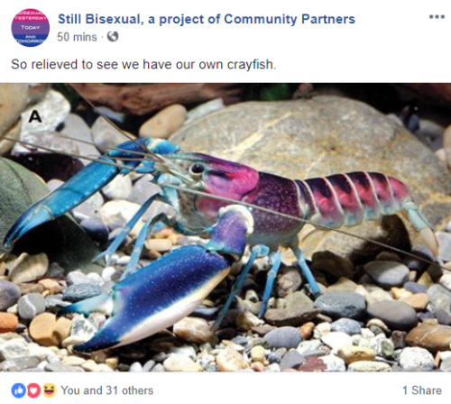 bi-trans-alliance:From Still Bisexual
