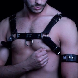 piggypipo:  Leather harness. #nippleplay