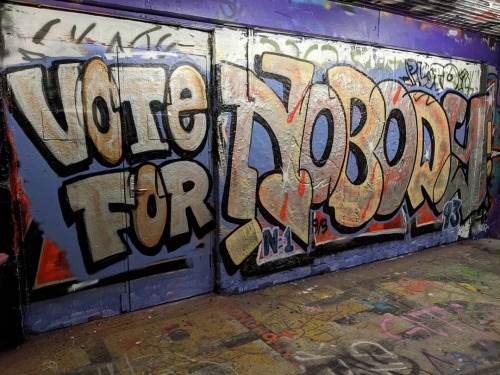 “Vote For Nobody!" Seen in Detroit, Michigan