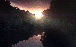 rhysfaerye:  &ldquo;I think that there is something in Damon that senses Elena