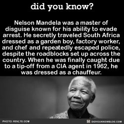 did-you-kno:  Nelson Mandela was a master of  disguise known for his ability to evade  arrest.  Source Source 2July 18th is not only his birthday, but is also Nelson Mandela International Day. So… Happy NMID BDAY.