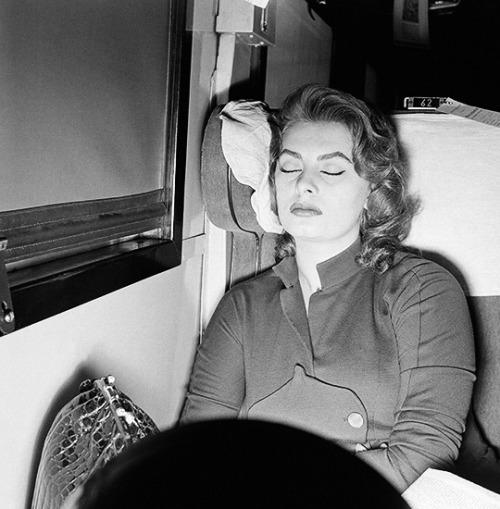 avagardner: Sophia Loren sleeps inside a train on her way to visit US Military, 1950.