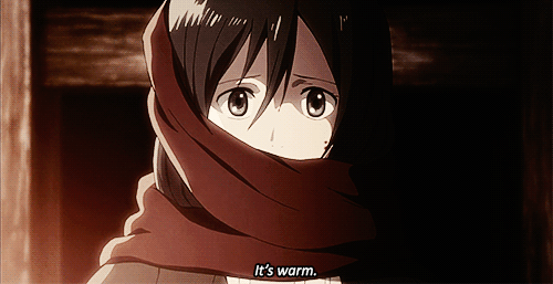 commandereyebrows:  slay-kyojin:  shingekinodenim:  PEOPLE GIVE MIKASA SO MUCH SHIT and it’s funny, but seriously, picture that your parents were brutally murdered in front of you - Eren literally saved her LIFE, taught her to defend for herself, provided