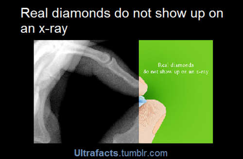 XXX ultrafacts:  More facts on Ultrafacts  photo