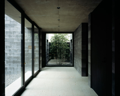 Niizeki Studio - WEP House, Tokyo. Via, 2, photos ©  Masao Nishikawa.