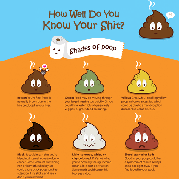 How well do you know your poop? Part 2 | Yes Baby I Like It Raw